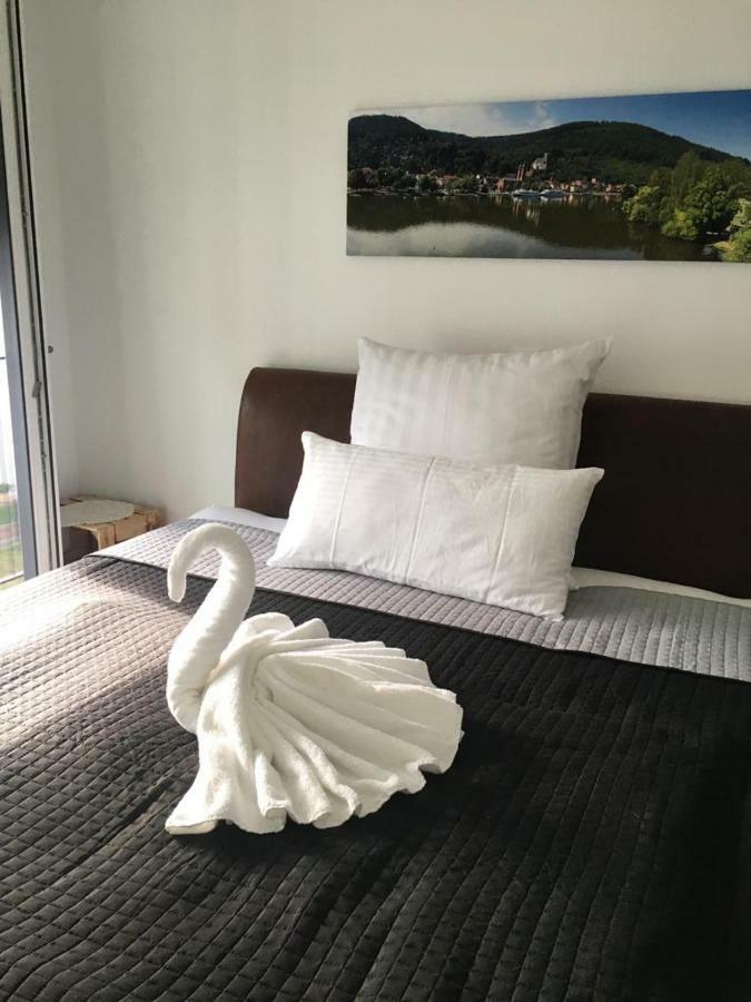 Апартаменты Main Boarding House Мильтенберг Экстерьер фото